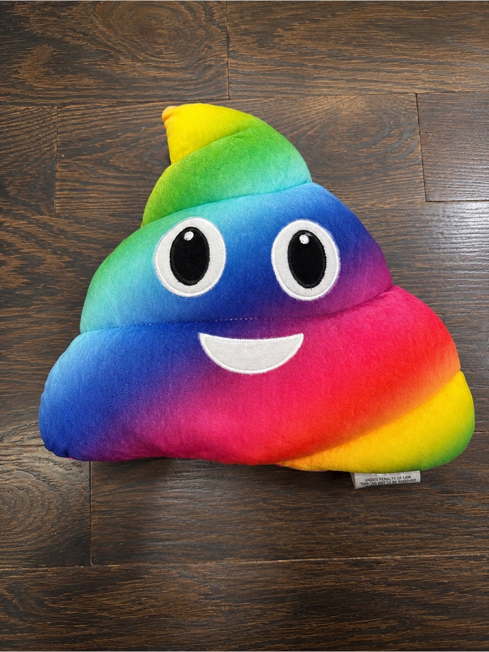 Rainbow Poop Plush Pillow - Colorful Kids Toy